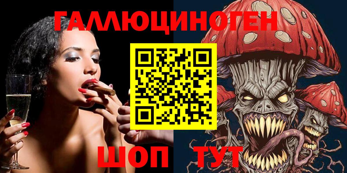 Псилоцибиновые грибы Psilocybine cubensis Чебаркуль